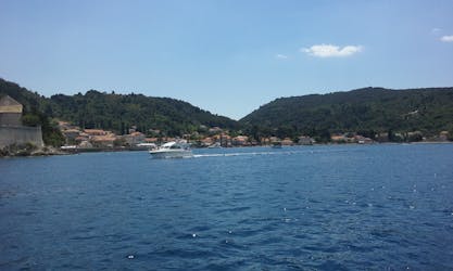 Visite privée des îles Elafiti en bateau à moteur depuis Dubrovnik